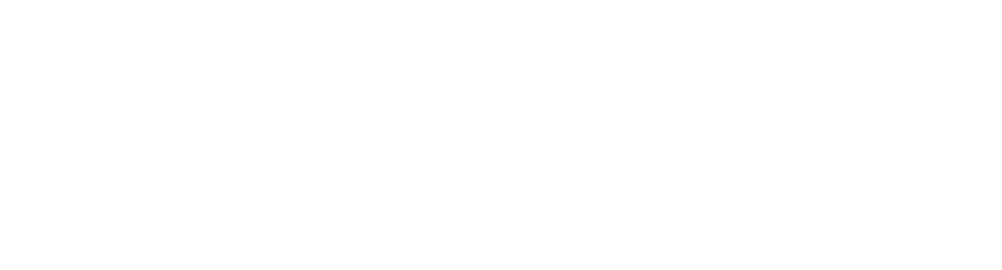 securelifealert.com